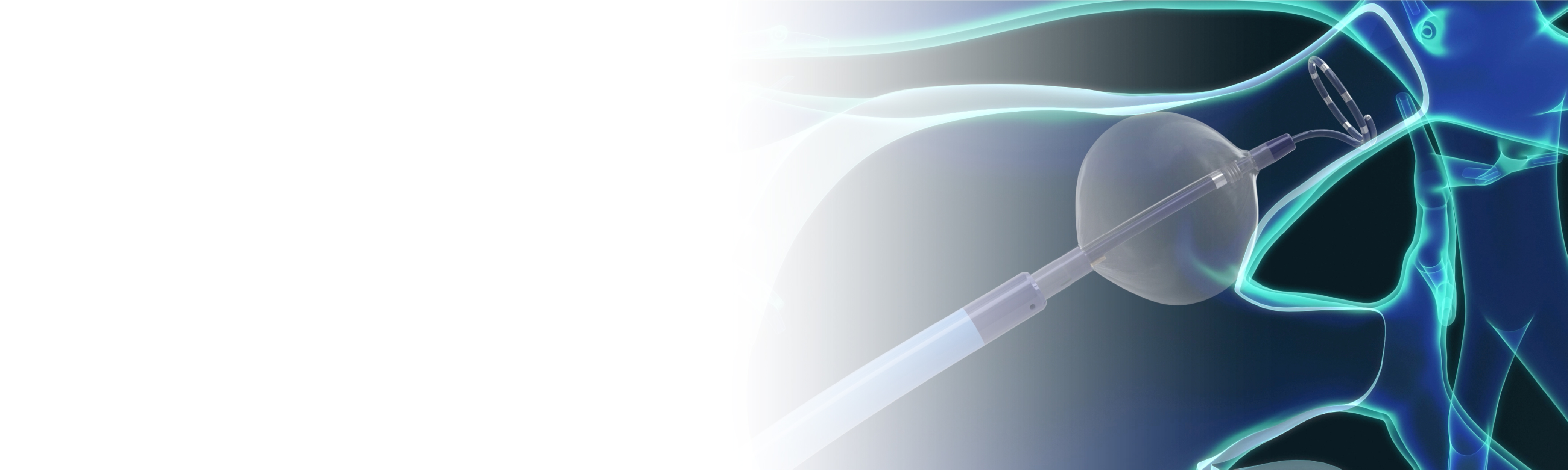 Electrophysiology Boston Scientific